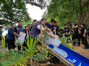 รัฐมนตรีช่วยว่าการกระทรวงเกษตรและสหกรณ์ ... พารามิเตอร์รูปภาพ 65